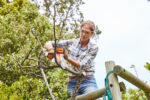Акумуляторний гілкоріз GTA26 Set STIHL (GA010116910) у робочому положенні — оригінал