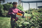Акумуляторні ножиці HSA140.0 R STIHL (HA020113506) - Зображення 4