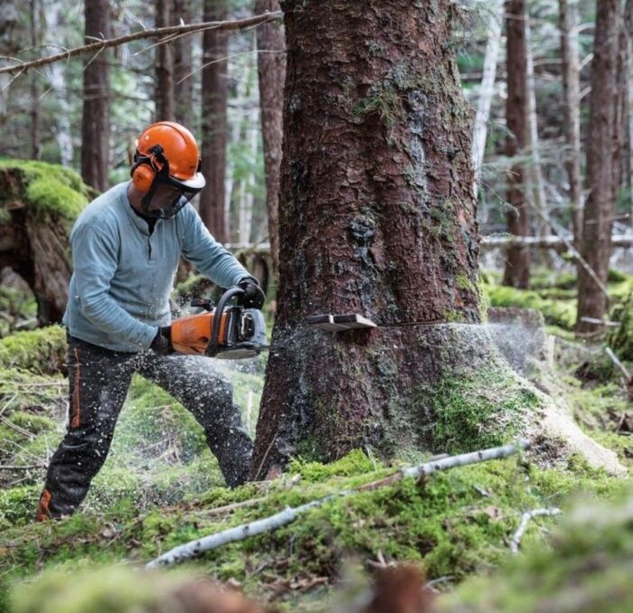 Бензопила MS462 45 см STIHL (11422000001) - Зображення 10