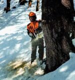 Бензопила MS462 45 см STIHL (11422000001) - Зображення 11