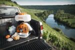 Обприскувач SR430 STIHL (42440112600) - Зображення 8