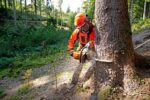 Бензопила MS182C-BE 40см STIHL (11482000328) - Зображення 3