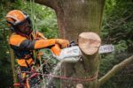 Акумуляторна пила MSA220.0 T 35см STIHL (MA012000027) у робочому положенні — оригінал