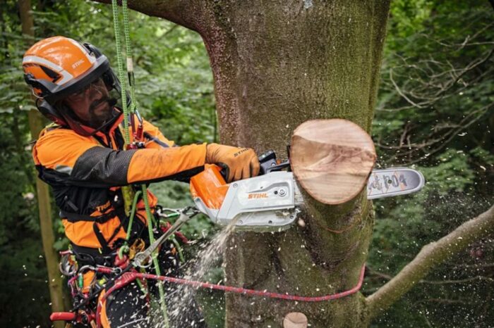 Акумуляторна пила MSA190.0 T 3/8"P 30см STIHL (MA052000001) - Зображення 3